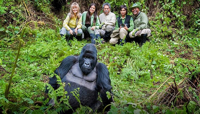 3 Days Gorilla Trekking Safari Bwindi