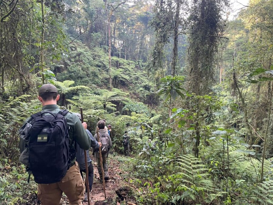 Buhoma Sector: Bwindi's Original Gorilla Trekking Region