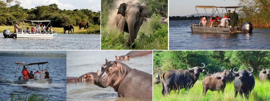 Things to Do in Akagera National Park